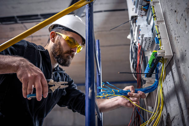 Best Affordable Electrician  in Williamsburg, FL