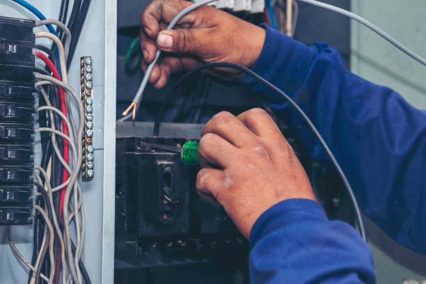 Best Generator Installation Services  in Williamsburg, FL